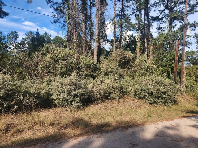 Lot 718 Weeping Willow Lane, Plantersville, TX 77363