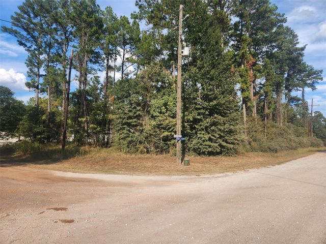 Lot 718 Weeping Willow Lane, Plantersville, TX 77363
