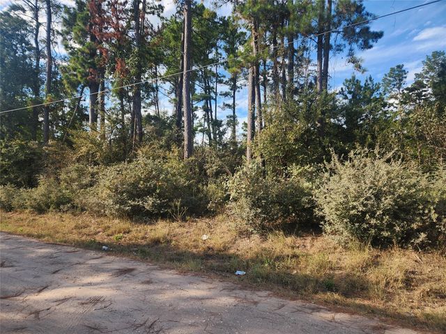Lot 718 Weeping Willow Lane, Plantersville, TX 77363