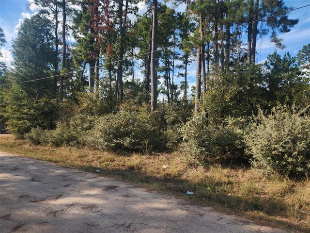 Lot 718 Weeping Willow Lane, Plantersville, TX 77363