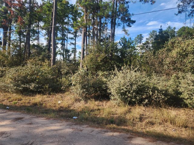 Lot 718 Weeping Willow Lane, Plantersville, TX 77363