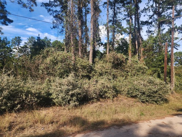 Lot 718 Weeping Willow Lane, Plantersville, TX 77363