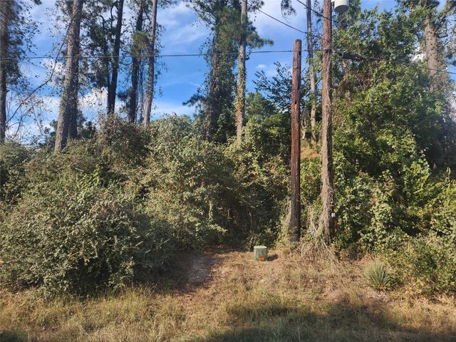 Lot 718 Weeping Willow Lane, Plantersville, TX 77363