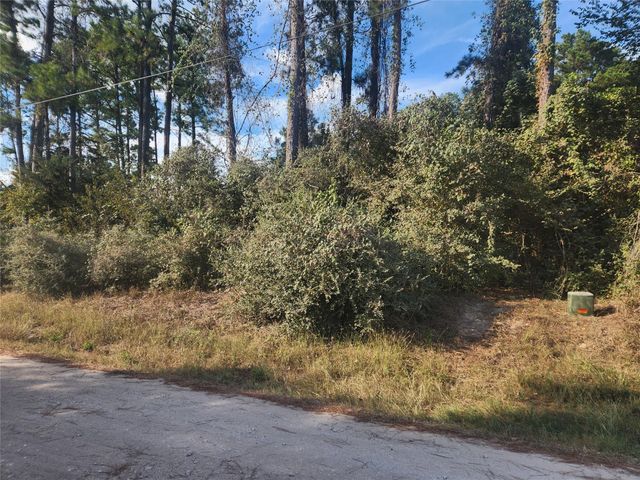 Lot 718 Weeping Willow Lane, Plantersville, TX 77363