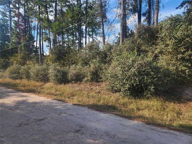 Lot 718 Weeping Willow Lane, Plantersville, TX 77363