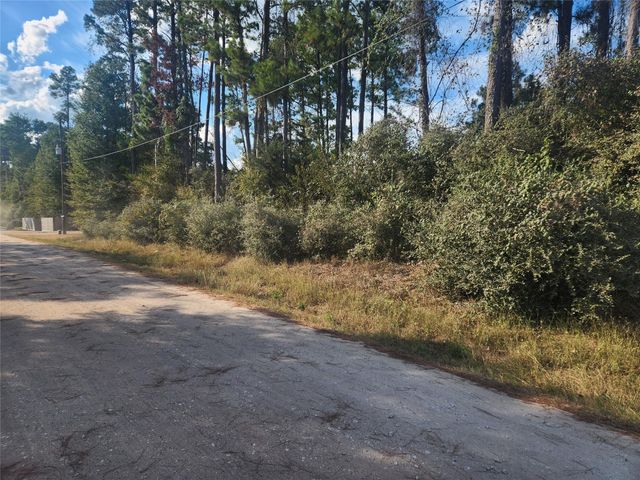 Lot 718 Weeping Willow Lane, Plantersville, TX 77363
