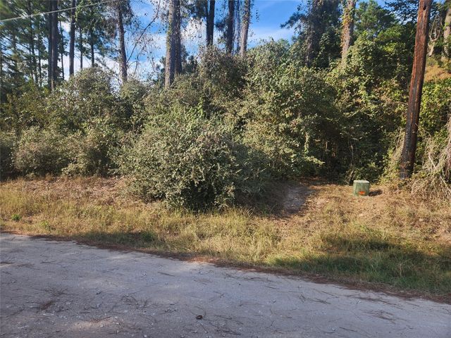 Lot 718 Weeping Willow Lane, Plantersville, TX 77363