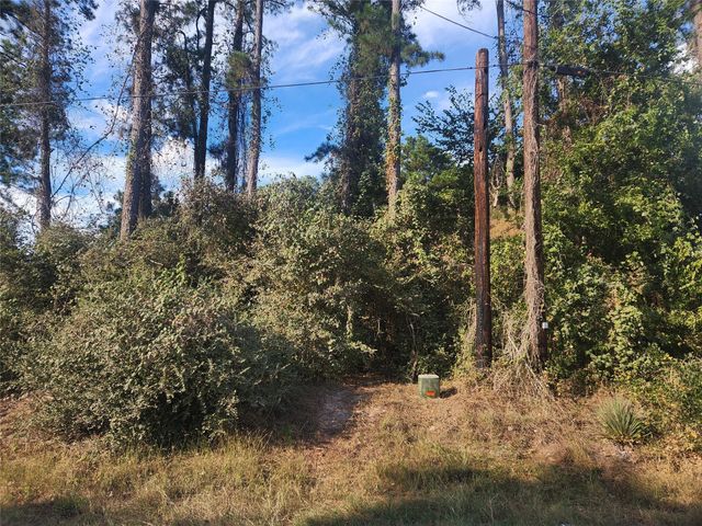 Lot 718 Weeping Willow Lane, Plantersville, TX 77363