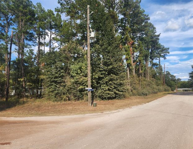 Lot 718 Weeping Willow Lane, Plantersville, TX 77363