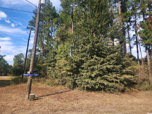 Lot 718 Weeping Willow Lane, Plantersville, TX 77363