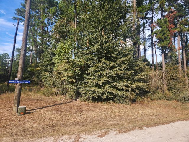 Lot 718 Weeping Willow Lane, Plantersville, TX 77363