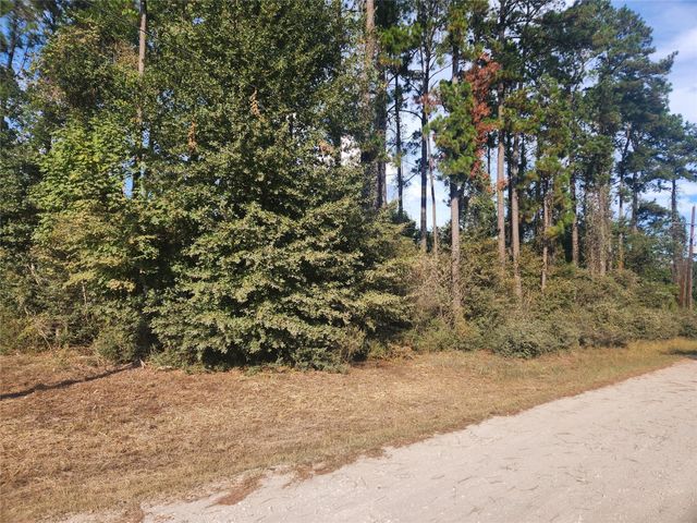 Lot 718 Weeping Willow Lane, Plantersville, TX 77363