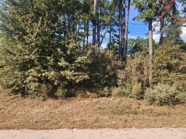 Lot 718 Weeping Willow Lane, Plantersville, TX 77363