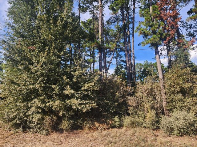 Lot 718 Weeping Willow Lane, Plantersville, TX 77363