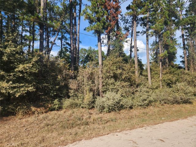Lot 718 Weeping Willow Lane, Plantersville, TX 77363