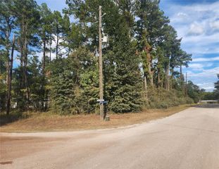 Lot 718 Weeping Willow Lane, Plantersville, TX 77363