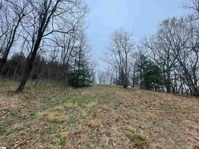 106 Ridge Pass Way, Landrum, SC 29356