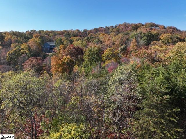 106 Ridge Pass Way, Landrum, SC 29356