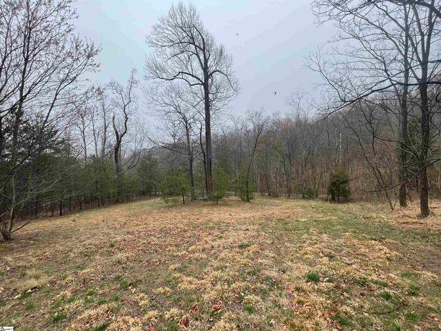 106 Ridge Pass Way, Landrum, SC 29356