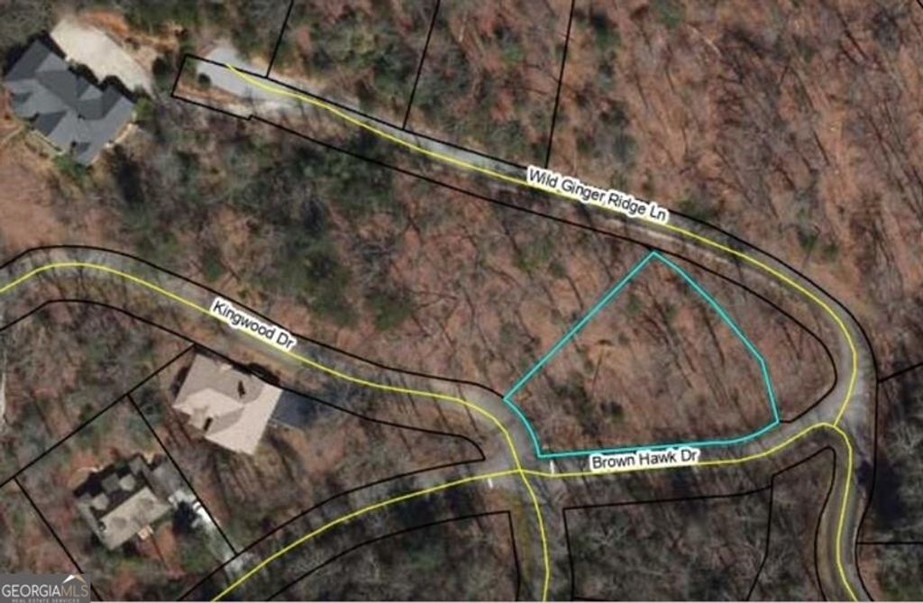 0 Brown Hawk Drive, Clayton, GA 30525 — photo 2