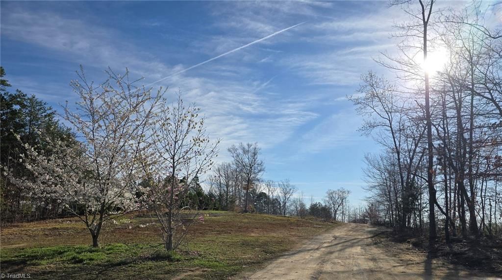 199 Rose of Sharon Lane, Lexington, NC 27292