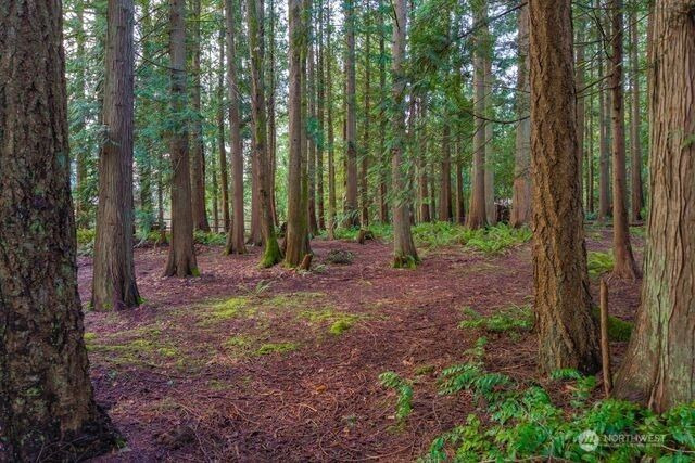 24226 SE 378th Street, Enumclaw, WA 98022