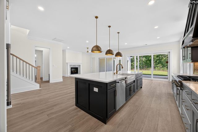 533 Dreher Locks Road, Lexington, SC 29072