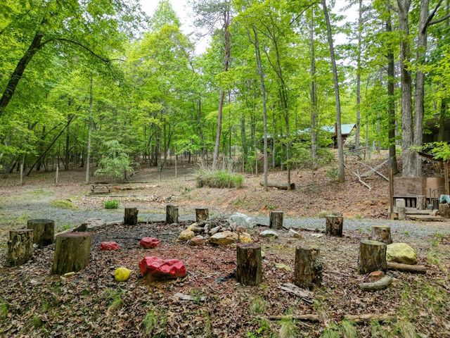 85 Cold Springs Road, Morganton, GA 30560