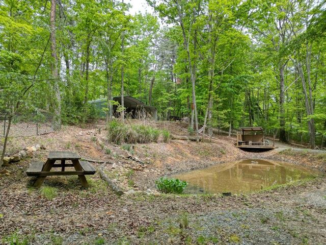 85 Cold Springs Road, Morganton, GA 30560