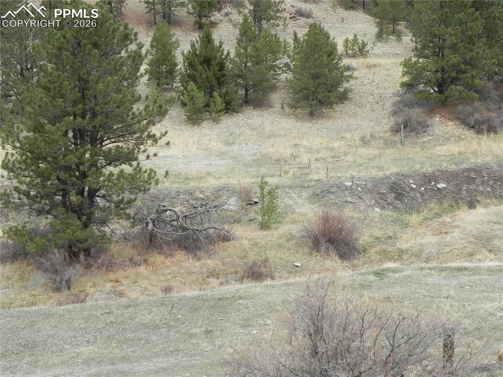 521 Monarch Drive, Cripple Creek, CO 80813 — exterior