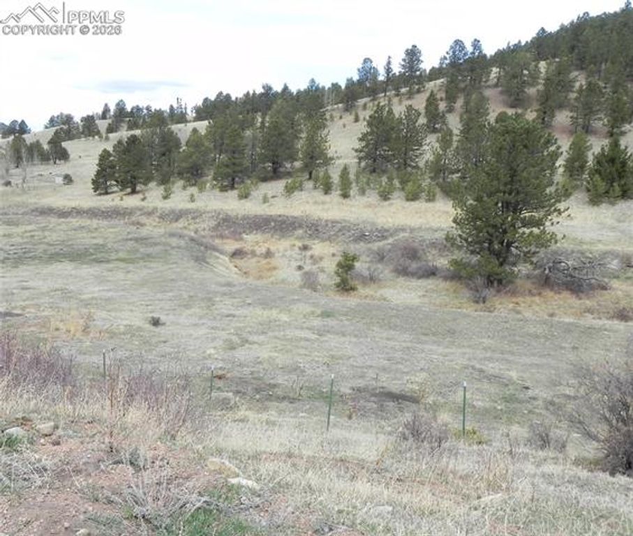 521 Monarch Drive, Cripple Creek, CO 80813 — photo 2