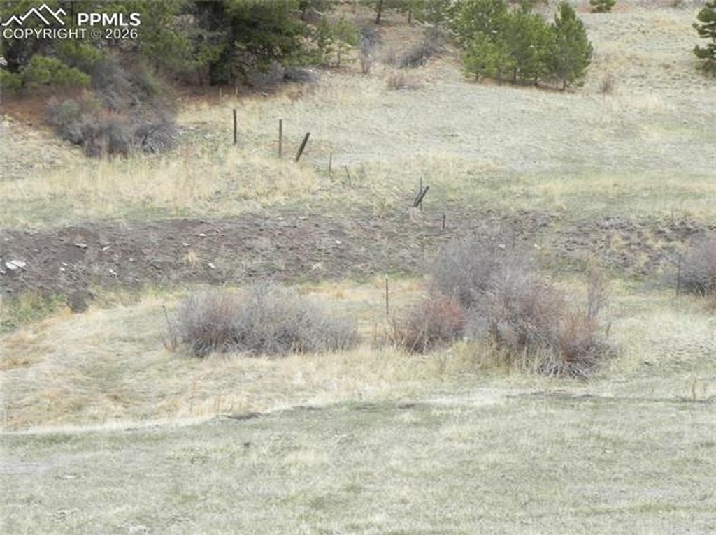 521 Monarch Drive, Cripple Creek, CO 80813 — photo 4