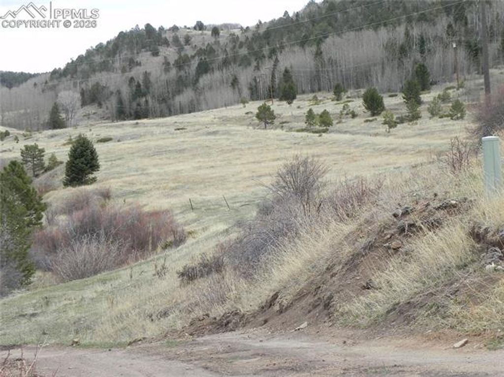 521 Monarch Drive, Cripple Creek, CO 80813 — photo 5