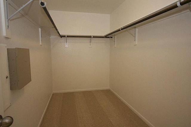 3742 Paladera Place, Spring, TX 77386