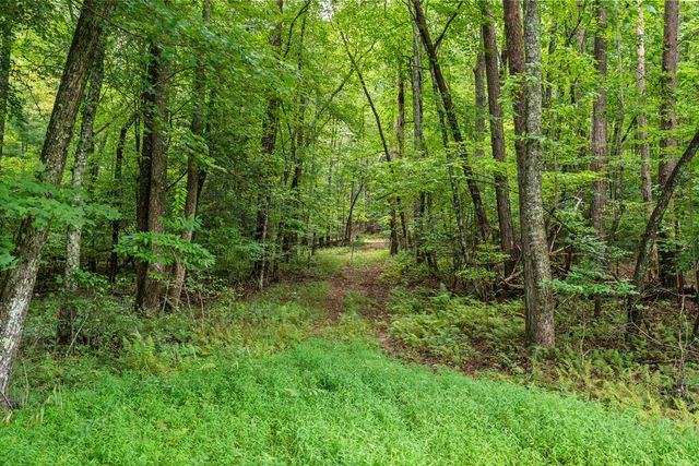 32 Raven Ridge, Mineral Bluff, GA 30559