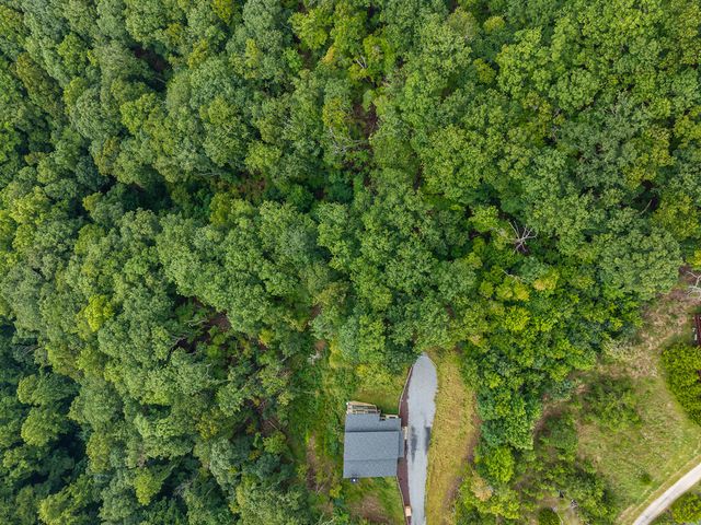 32 Raven Ridge, Mineral Bluff, GA 30559