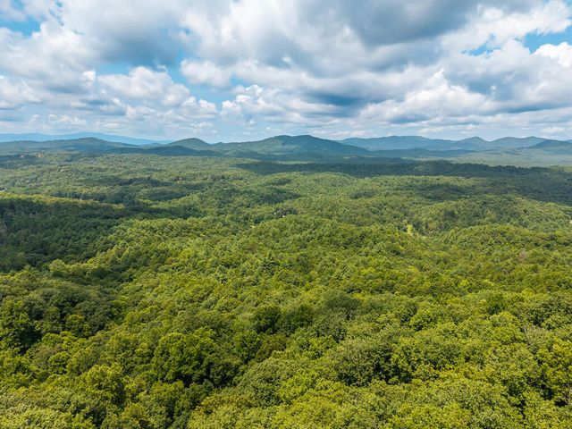 32 Raven Ridge, Mineral Bluff, GA 30559