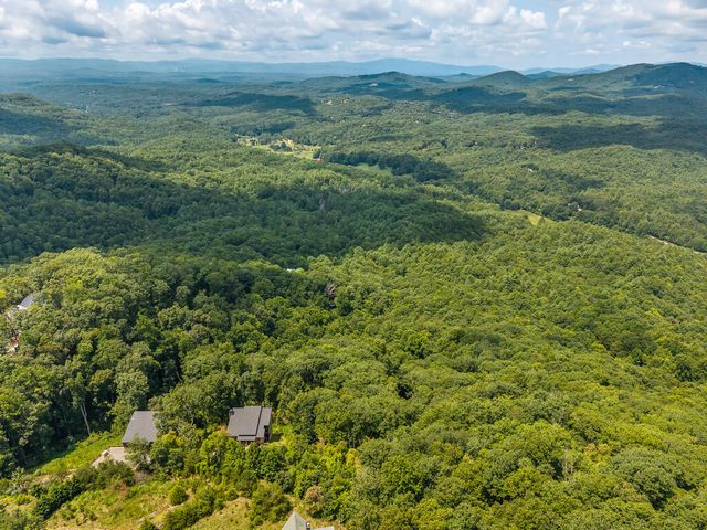 32 Raven Ridge, Mineral Bluff, GA 30559