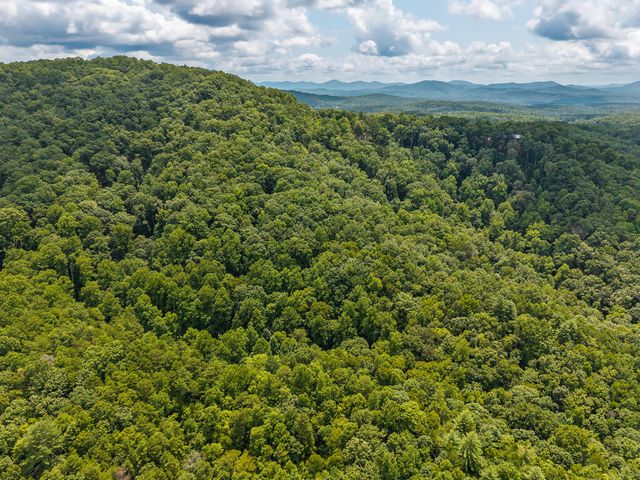 32 Raven Ridge, Mineral Bluff, GA 30559