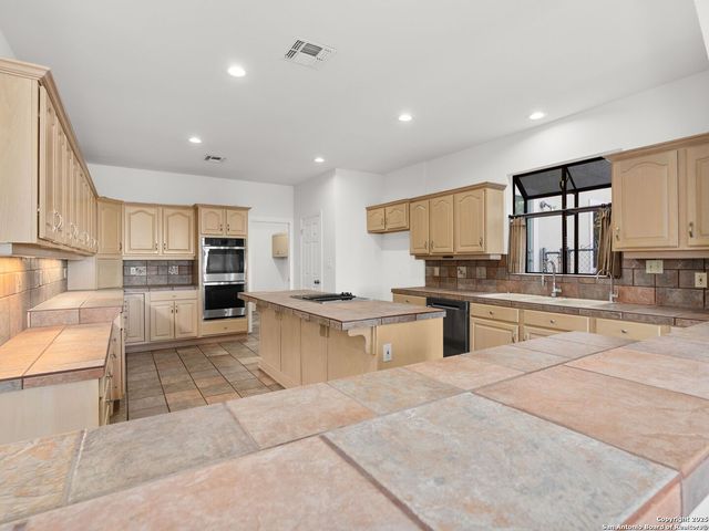 29011 Angel Fire, Boerne, TX 78015