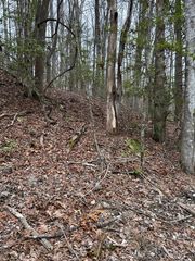 0 Old Rocky Branch Road, Topton, NC 28781