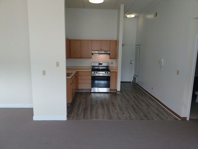 4752 S Wabash Avenue 301, Chicago, IL 60615