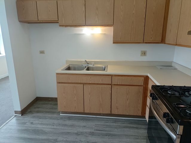 4752 S Wabash Avenue 301, Chicago, IL 60615