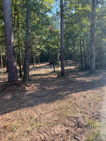 B-3-3, B-3-4 La Hwy 10, Clinton, LA 70722