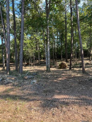 B-3-3, B-3-4 La Hwy 10, Clinton, LA 70722