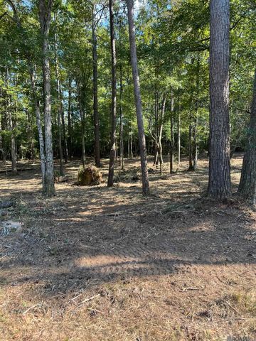 B-3-3, B-3-4 La Hwy 10, Clinton, LA 70722