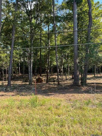 B-3-3, B-3-4 La Hwy 10, Clinton, LA 70722