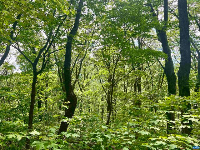 631 FAR KNOB CLIMB, Nellysford, VA 22958
