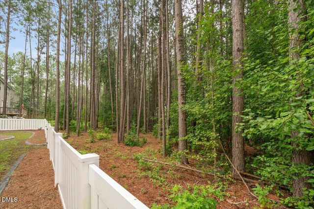 393 Badger Pass Drive, Clayton, NC 27527
