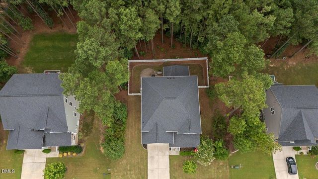 393 Badger Pass Drive, Clayton, NC 27527